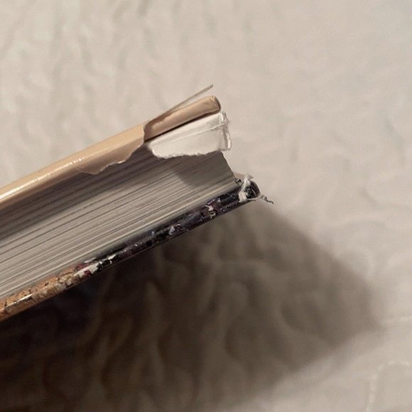 THE HOLY LAND Guide to the Archaeological Sites and Historical Monuments - Picture 7 of 12